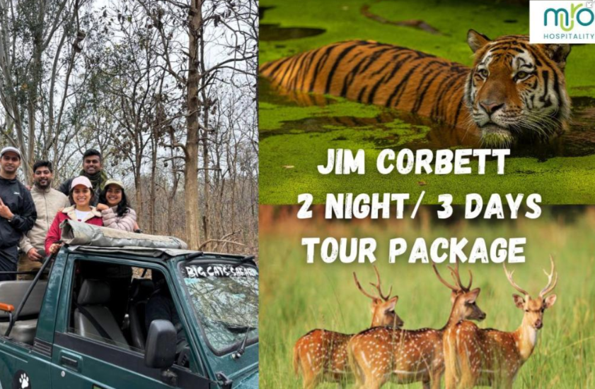 Corbett 2 Nights 3 Days Tour Package