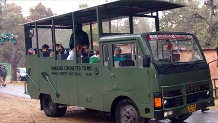 Canter Safari