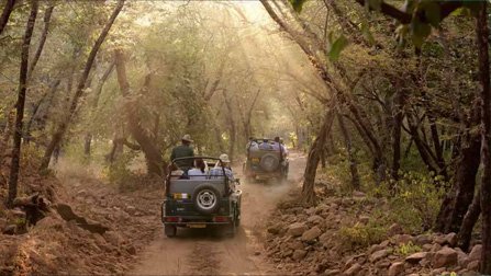 Jeep Safari Tour