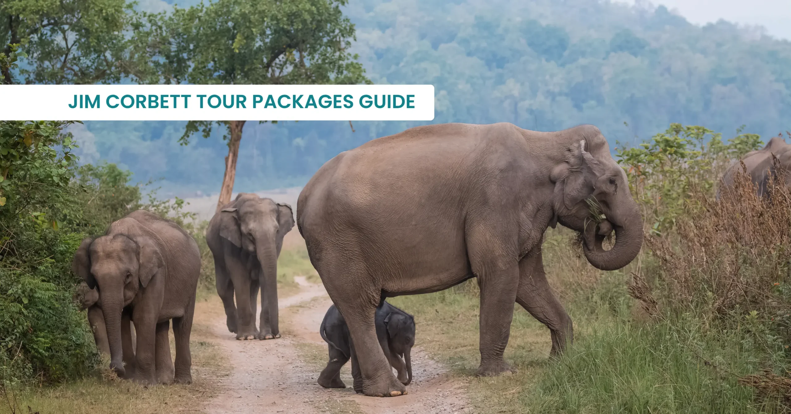 Jim Corbett Tour Packages