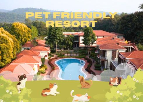 Pet Friendly Hotels In Mukteshwar