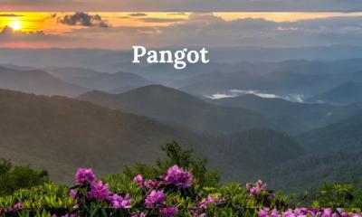 Pangot