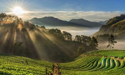 Thekkady