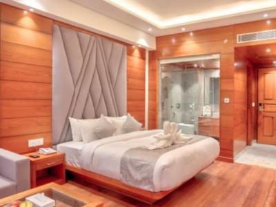 Executive Room with Rohtang Valley View Balcony 