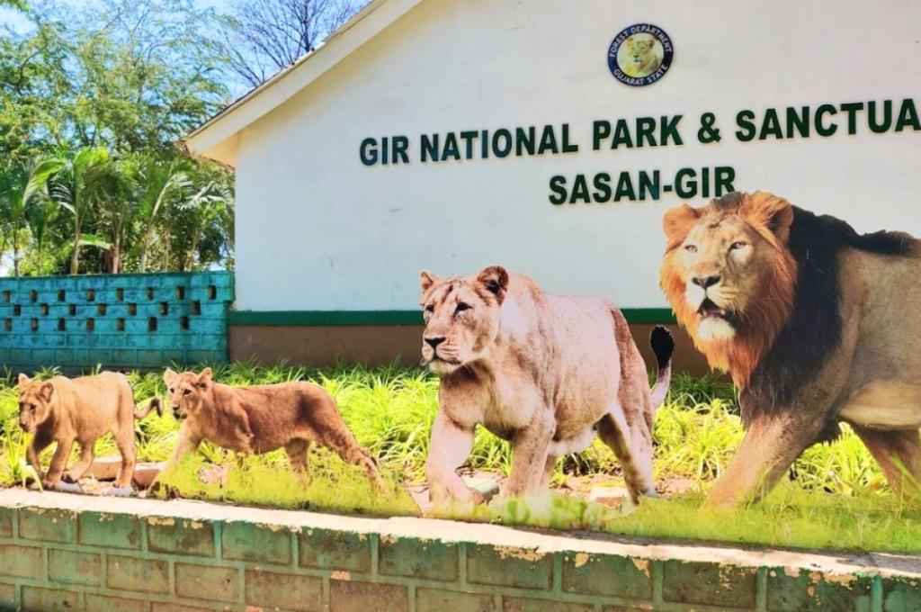 https://www.murohospitality.com/gir-national-park-2-nights-package