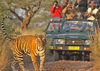 Ranthambore 2 nights package